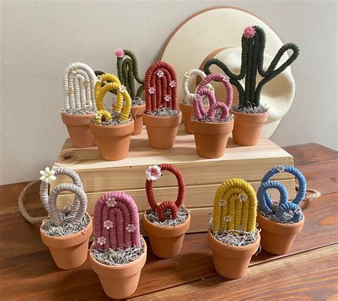 Macrame Cactus Macrame Cacti Macrame Succulent Cactus Decor