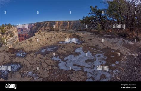 Frozen Water Puddles Along The Cliffs Of Grand Canyon East Of The