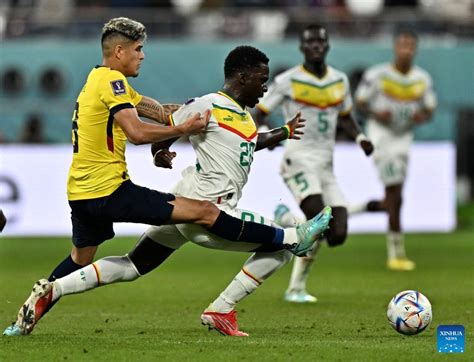 Senegal Beat Ecuador To Reach World Cup Last Xinhua