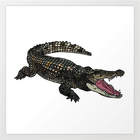 American Alligator Art Print By Grace Thanda X Small Alligators Art