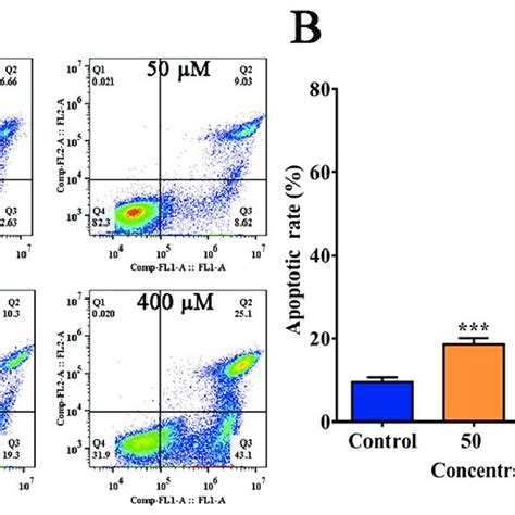 Flow Cytometric Analysis Of Cell Cycle Phase Distribution In Sgc 7901