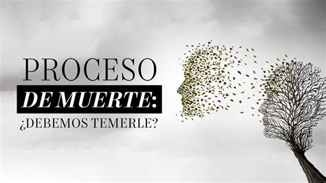 Cómo es el proceso de la muerte Martha Debayle YouTube