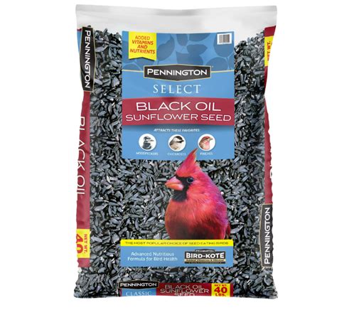 Pennington Select Black Oil Sunflower Seed Wild Bird Ubuy India