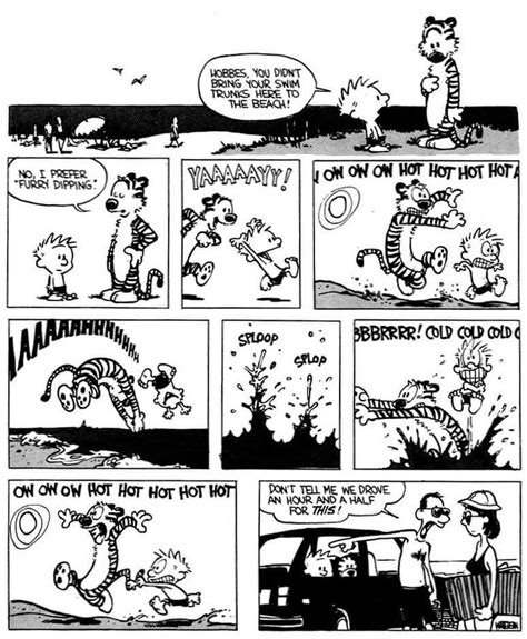 Pin By Cheri Roster On Calvin Hobbes Calvin And Hobbes Humor