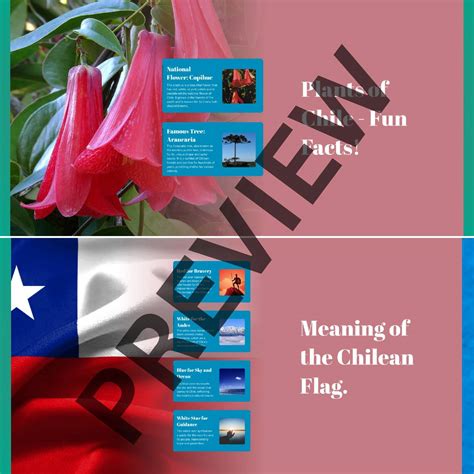 Discovering Chile: Land of Contrasts - Educational Presentation Slides!