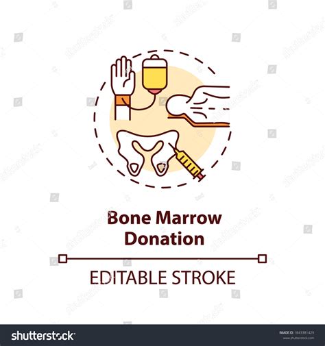 Bone Marrow Donation Image Images Stock Photos Vectors