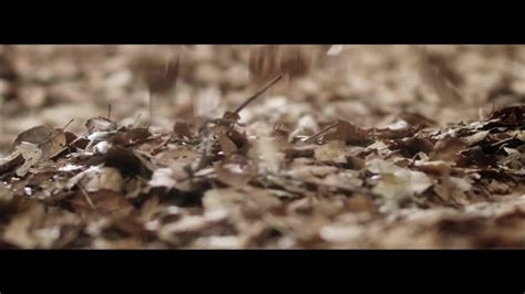 Naked Dawn Richard In 86