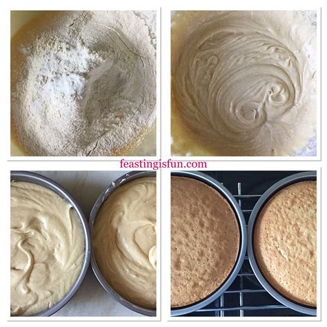 Raspberry Vanilla Naked Celebration Cake Feasting Is Fun