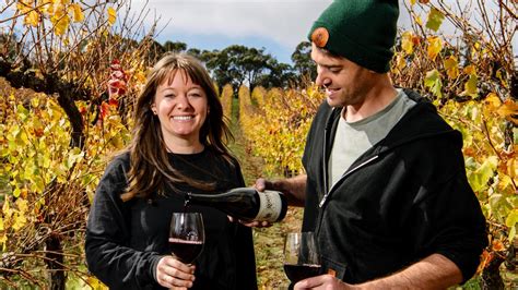 2023 Halliday Wine Companion Awards SA Winners The Advertiser