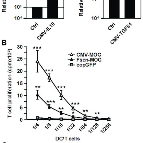 Functional Analysis Of Cytokine And Mog Expression Constructs In Vitro