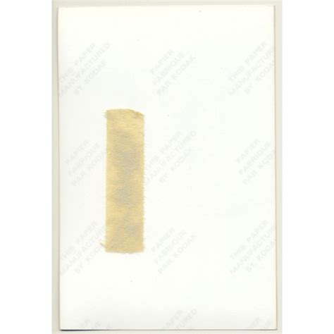 Busty Topless Blonde Female 5 Pin Up Boobs Vintage Photo Germany 1980s