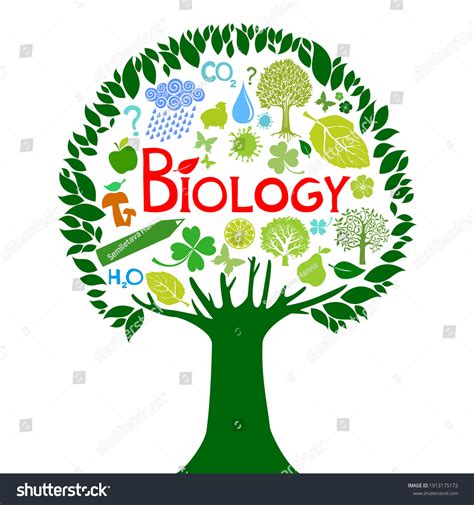 Biology Science Colorful Tree Biology Illustration Stock Vector