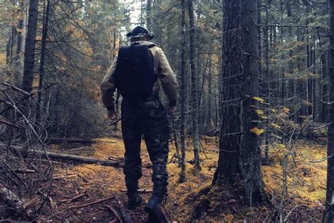 ⬇ Скачать картинки Лесник, стоковые фото Лесник в хорошем качестве ...