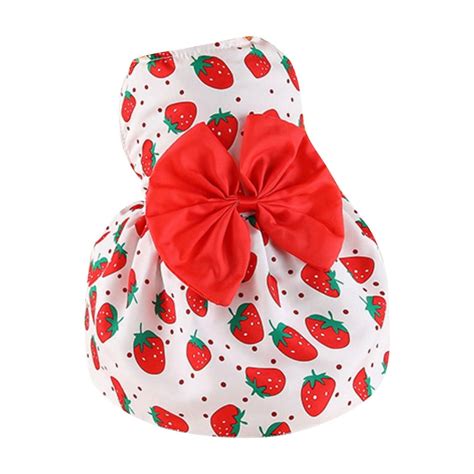 birthday outfit for dog 4