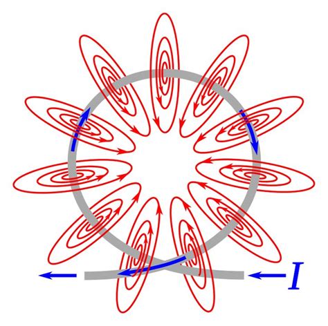 The Magnetic Field Lines Of A Current Carrying Loop Of Wire Pass Through The Center Of The Loop