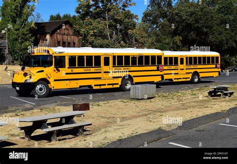 school buses from Clovis Unified School District at a park in California Stock Photo - Alamy