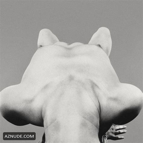 Ali Michael Nude By Chadwick Tyler For Documento Numero Aznude