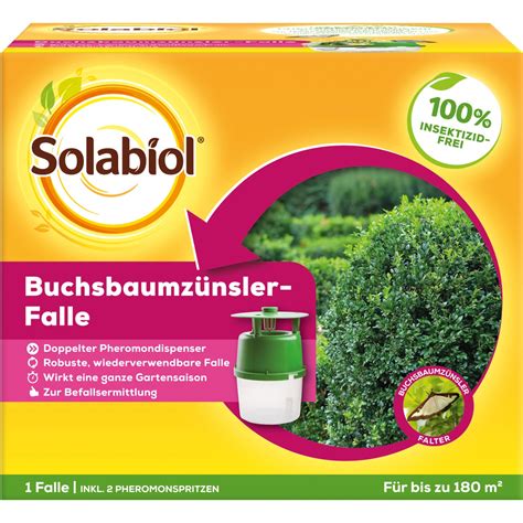 Solabiol Buchsbaumz Nsler Falle St Ck Kaufen Bei Obi