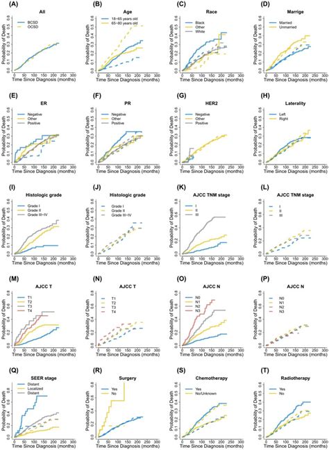 Cumulative Incidence Function Curves For Each Characteristic Notes Download Scientific