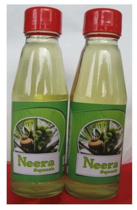 coconut neera  vital health beverage  coconut palms harvesting