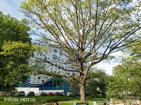 Первый взгляд Infinix Hot и Hot i стоит ли покупать Mobile review Все о мобильной