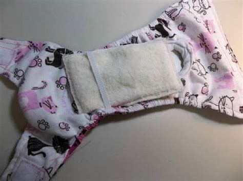 Памперсы для котов и кошек: особенности выбора и использования ...