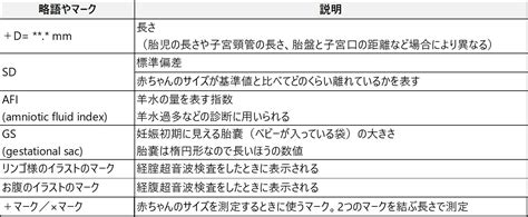 超音波（エコー）写真の見方、用語やマークの意味を解説【産婦人科医監修】 【楽天市場】 Mamas Life