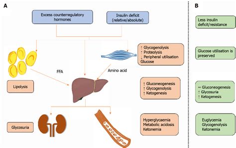 Figure 1 From Euglycemic Diabetic Ketoacidosis A Missed Diagnosis