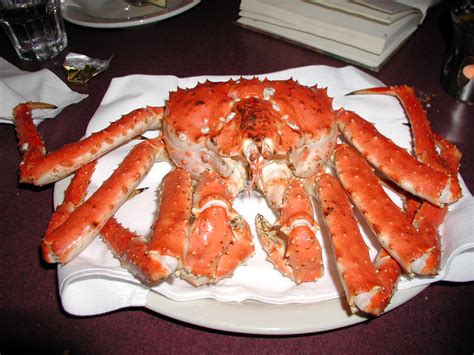 10 Cast Net Alaskan King Crab Season