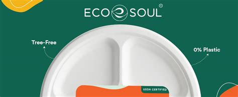 ECO SOUL 9 Inch 25 Pack 3 Compartment Disposable Bagasse Plates