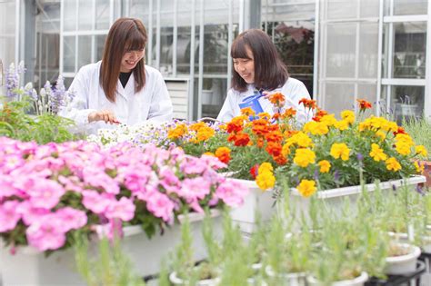 キャンパスライフ｜秋田県立大学 生物資源科学部 アグリビジネス学科