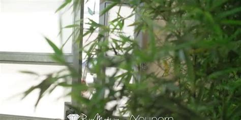 Puremature Seductive Corporate Screw With Mature Milf Nikita Reznikova Tnaflix