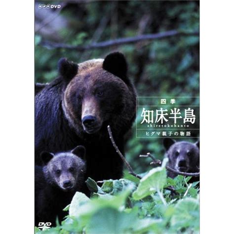 四季・知床半島 ~ヒグマ親子の物語~ Dvd 20220922162224 01341us豊花通商yahoo店 通販 Yahoo