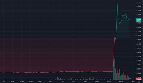 Ripple Xrp S Envole Suite La D Cision Du Tribunal Coins Fr