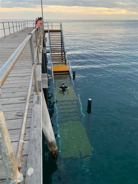 New Port Noarlunga Jetty Stairs Installed Scuba Diver Mag