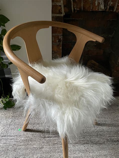 White Icelandic Sheepskin Chair Pad Black Sheep White Light