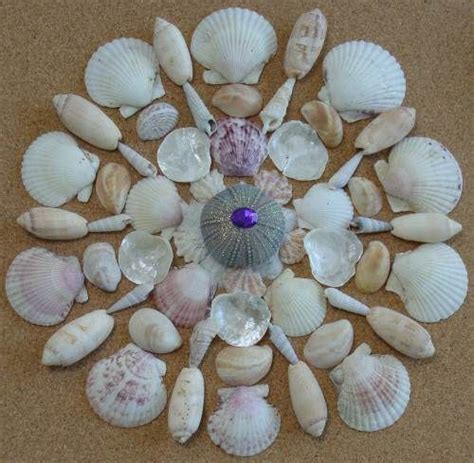 53 Art - Beach Clam shells ideas | seashell crafts, shell crafts ...