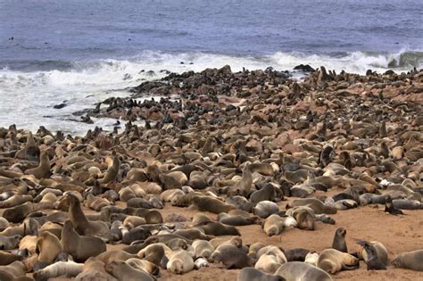 When To Visit Namibia Travelingeast