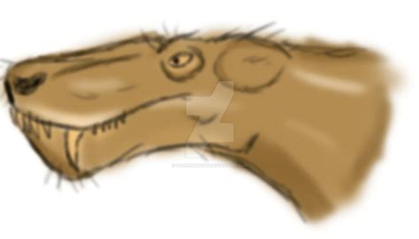 Gorgonopsid Head Sketch By Tsurugiknight On Deviantart