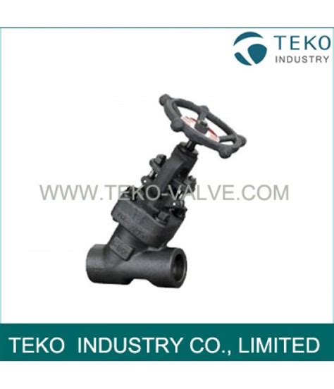 Y Type Forged Steel Globe Valve