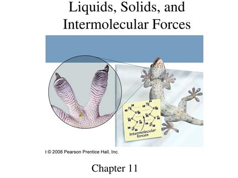 PPT - Liquids, Solids, and Intermolecular Forces PowerPoint Presentation - ID:374729