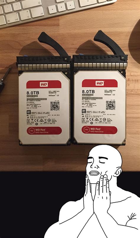 New Arrival Two Naked Beauties Just Waiting To Get Filled R DataHoarder