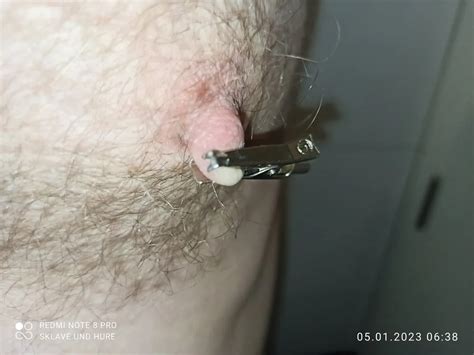 Mandatory Weighing Cagecheck Plug Clamps 19 Nude Pics XHamster