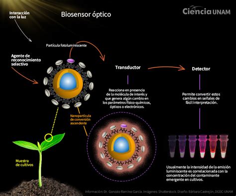 Biosensores útiles en la detección de contaminantes emergentes