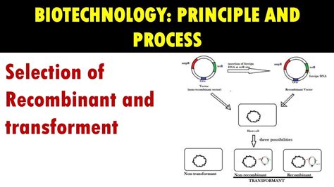 Elimination Of Recombinant And Transformment Using Selectable Marker