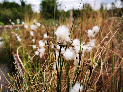 Nacktwandern Fkk Wanderwege Deutschland Weltweit Gay Reiseblog