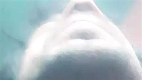 Video Lucah Grandpa Masturbating Gay Percuma XHamster