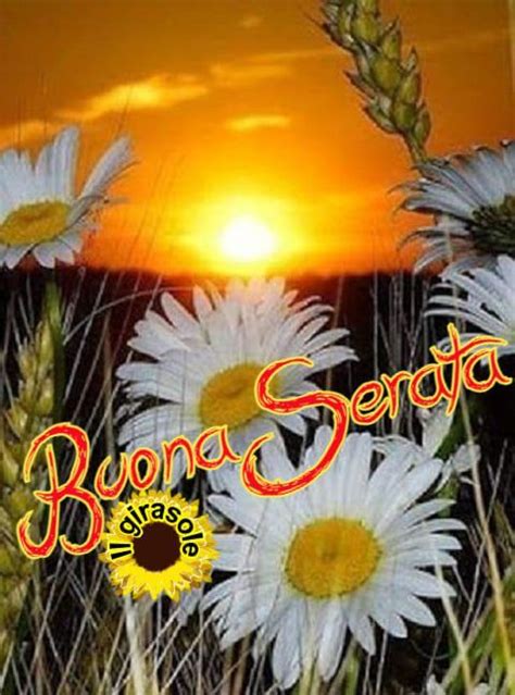 Pin Di Caroline Julita Su Buona Serata Immagini Girasoli Buongiorno