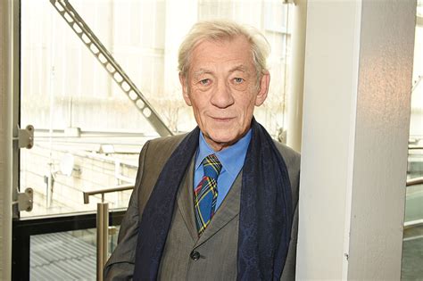 Ian McKellen Gay People Also Disregarded By Oscars TIME