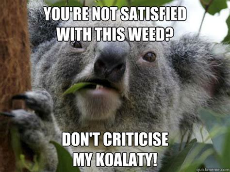 Scary Koala Meme